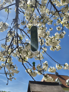Wunschbaum